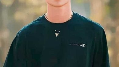 Gale Brophy Wikipedia