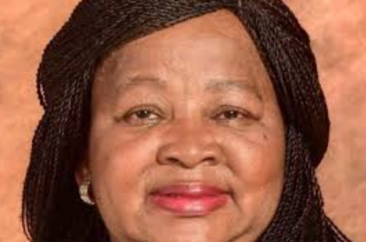 Dikeledi Magadzi Biography